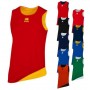 Форма баскетбольна чоловіча двостороння Errea Chicago Double Singlet AD (33401242) Форма баскетбольна чоловіча двостороння Errea Chicago Double Singlet AD (33401242)