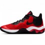 Кросівки баскетбольні Nike Renew Elevate (CK2669-600)