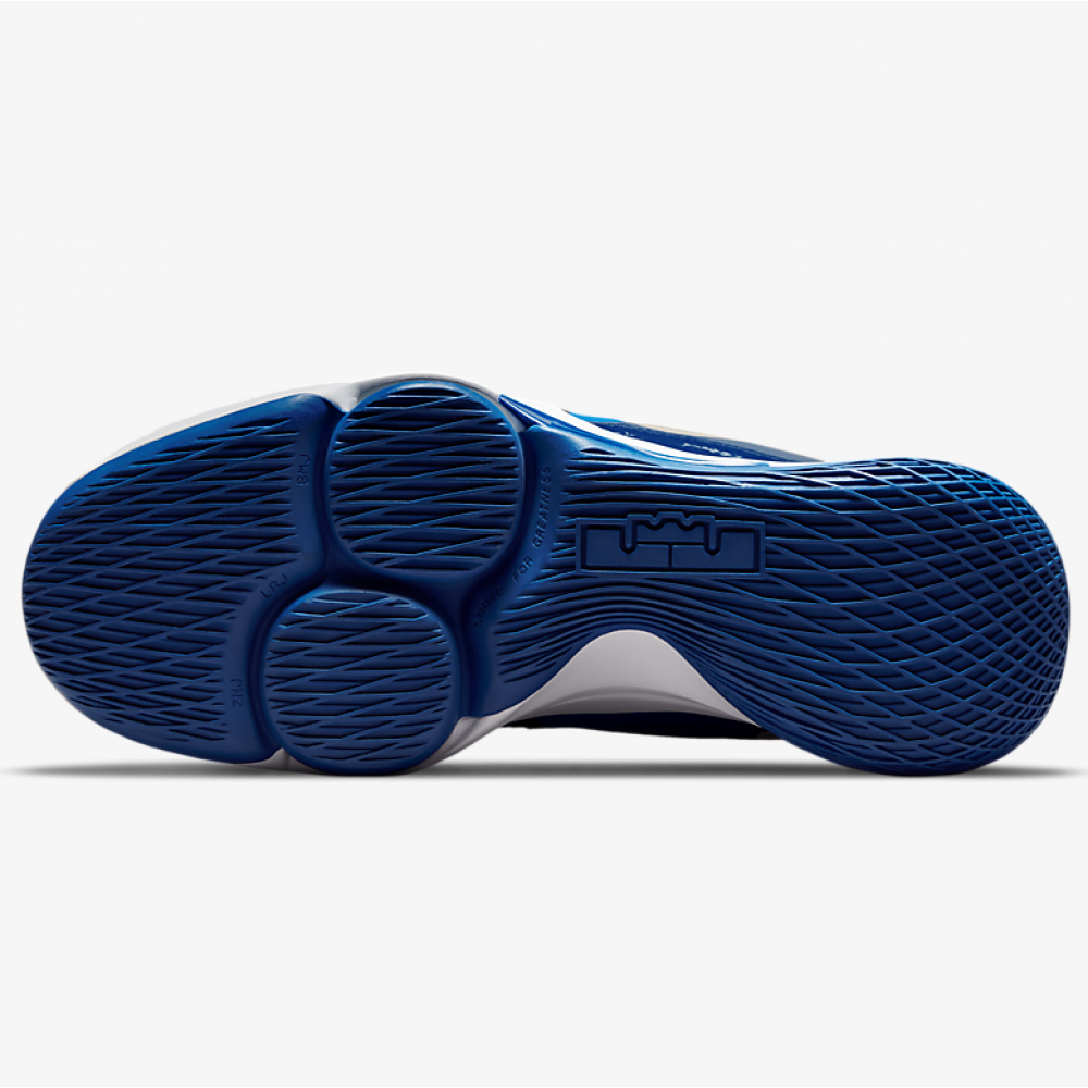 Кросівки баскетбольні Nike Lebron Witness 5 чоловічі (CQ9380-400)