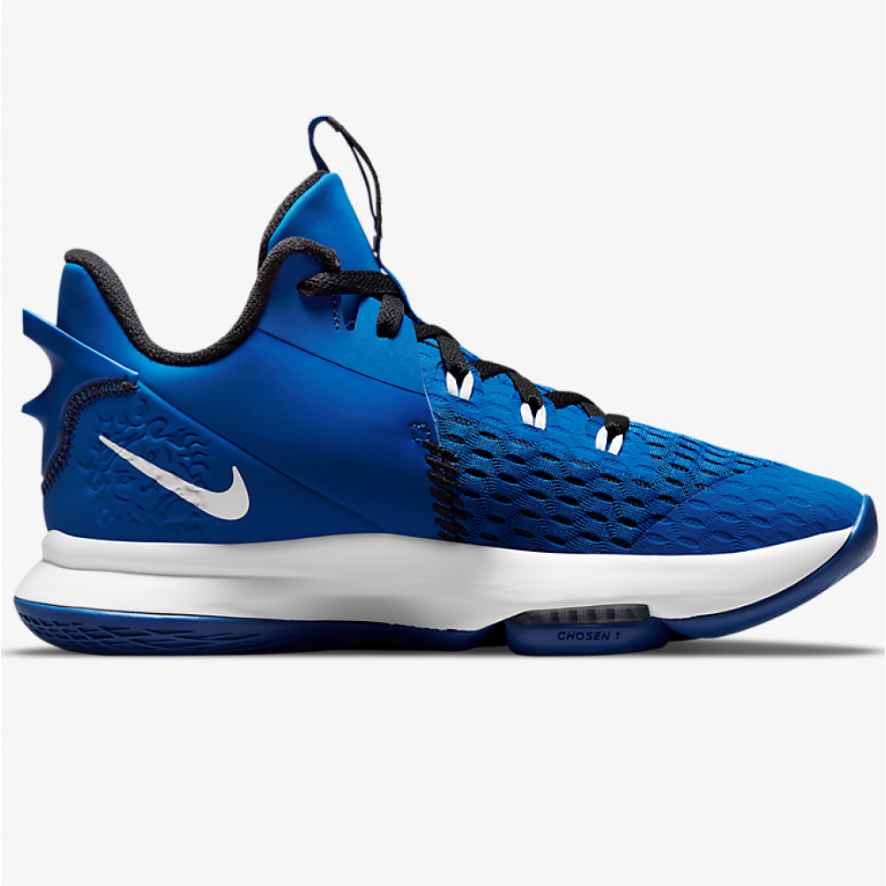 Кросівки баскетбольні Nike Lebron Witness 5 чоловічі (CQ9380-400)