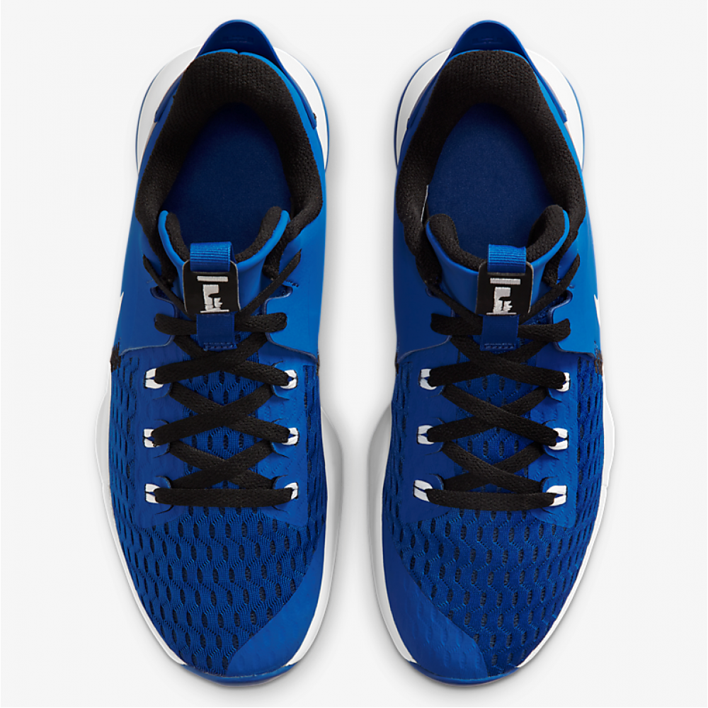 Кросівки баскетбольні Nike Lebron Witness 5 чоловічі (CQ9380-400)