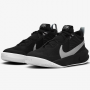 Дитячі баскетбольні кросівки Nike Team Hustle D 10 (CW6735-004)