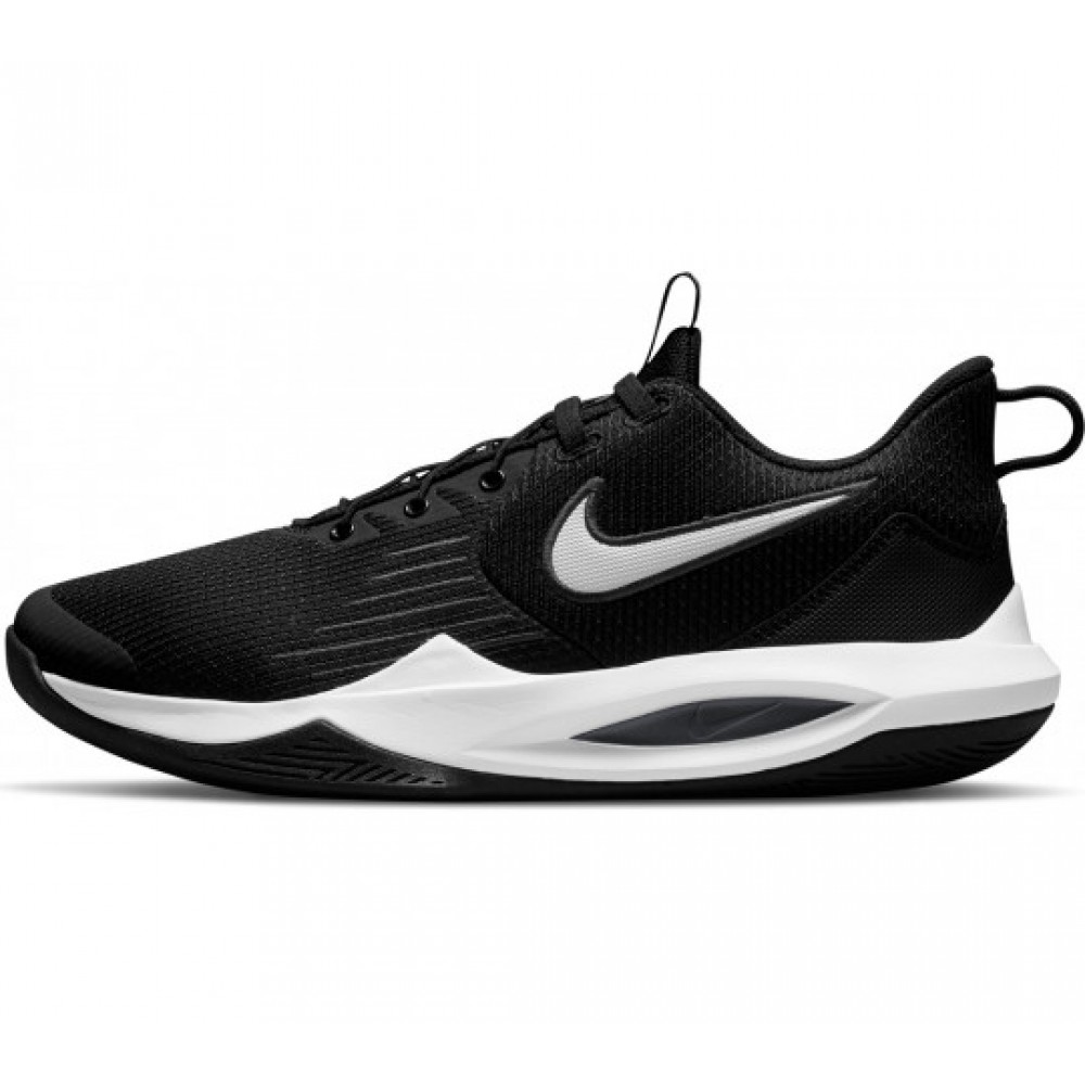 Кросівки баскетбольні Nike Precision 5 FlyEase (DC5590-003)