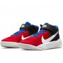 Дитячі баскетбольні кросівки Nike Team Hustle D 10 FlyEase (DD7303-005)