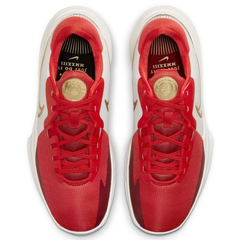 Кросівки баскетбольні Nike Precision 6 (DD9535-006)