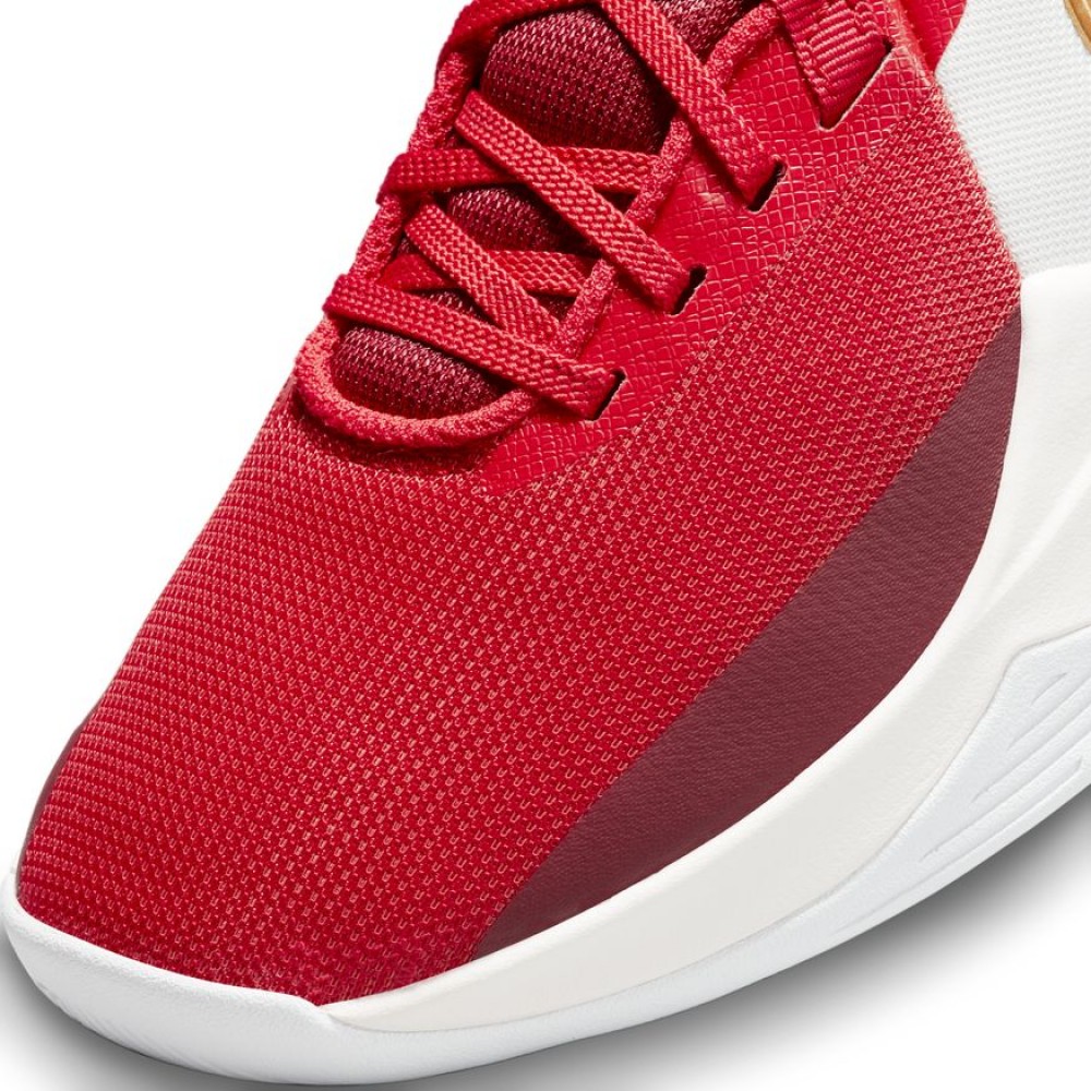 Кросівки баскетбольні Nike Precision 6 (DD9535-006)