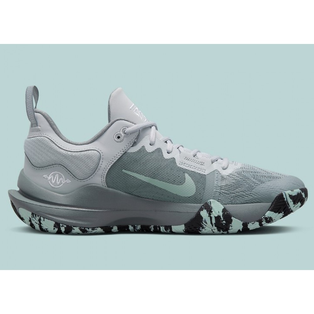 Кросівки баскетбольні Nike Giannis Immortality 2 (DM0825-004)