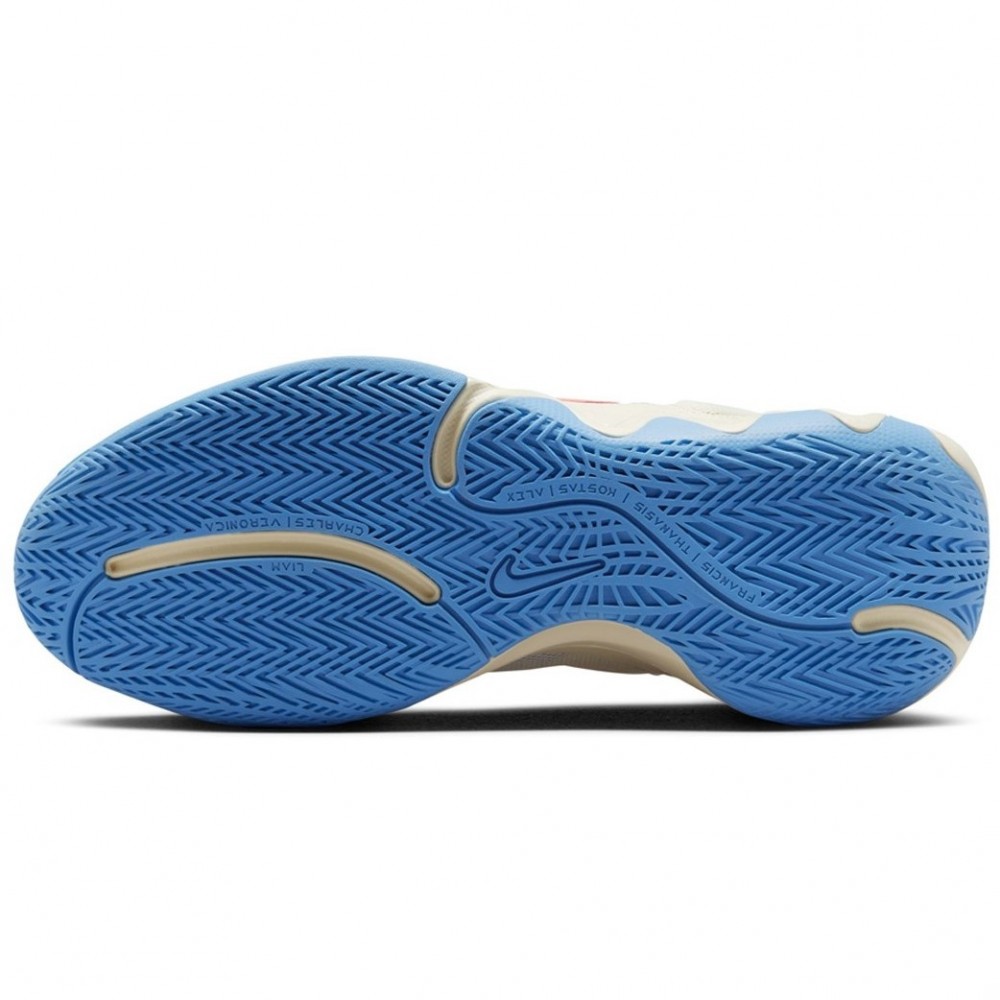 Кросівки баскетбольні Nike Giannis Immortality 2 (DM0825-103)