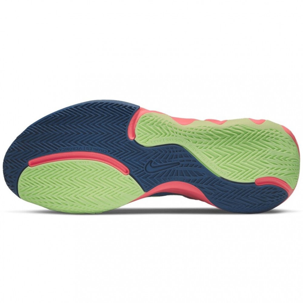 Кросівки баскетбольні Nike Giannis Immortality 2 (DM0825-400)