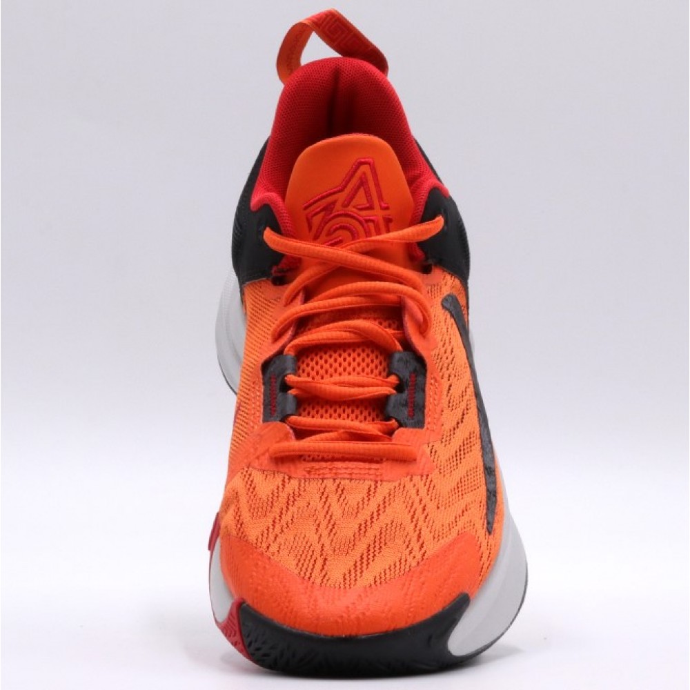 Кросівки баскетбольні Nike Giannis Immortality 2 (DM0825-800)