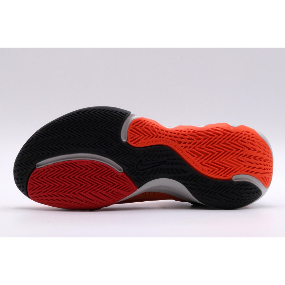 Кросівки баскетбольні Nike Giannis Immortality 2 (DM0825-800)