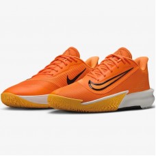 Кросівки баскетбольні Nike Precision 7 (FN4322-800)