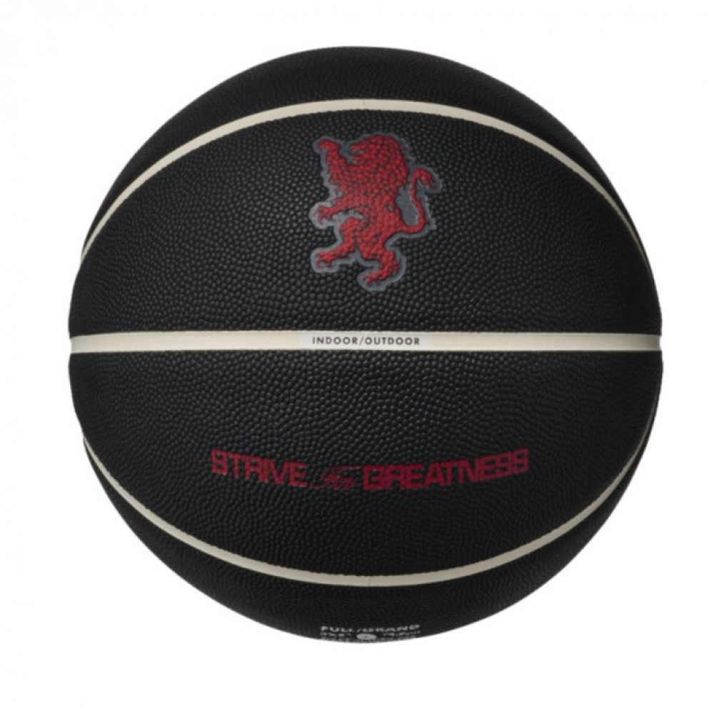 М'яч баскетбольний Nike All Court 8P 2.0 Lebron James розмір 7 композитна шкіра-гума (N.100.4368.097.07)