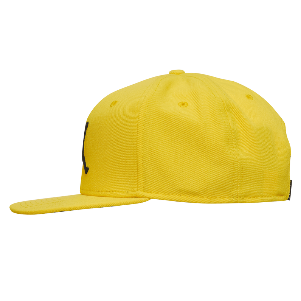Кепка-бейсболка з прямим козирьком Jordan Pro Jumpman Snapback 6-панельний снепбек (AR2118-719)