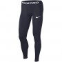 Тайтси-лосини чоловічі Nike Tights спортивні (BV5641-452) Тайтси-лосини чоловічі Nike Tights спортивні (BV5641-452)