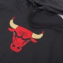 Худі баскетбольна чоловіча Chicago Bulls City Edition Logo (CN2534-060) Худі баскетбольна чоловіча Chicago Bulls City Edition Logo (CN2534-060)