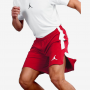 Шорти баскетбольні Jordan 23Alpha Dry Fit Short розмір L, XL (905782-688) Шорти баскетбольні Jordan 23Alpha Dry Fit Short розмір L, XL (905782-688)