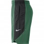 Шорти баскетбольні Nike NBA Boston Celtics чоловічі (AJ5050-312) Шорти баскетбольні Nike NBA Boston Celtics чоловічі (AJ5050-312)