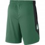 Шорти баскетбольні Nike NBA Boston Celtics чоловічі (AJ5050-312) Шорти баскетбольні Nike NBA Boston Celtics чоловічі (AJ5050-312)