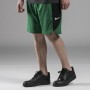 Шорти баскетбольні Nike NBA Boston Celtics чоловічі (AJ5050-312) Шорти баскетбольні Nike NBA Boston Celtics чоловічі (AJ5050-312)