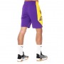 Шорти баскетбольні чоловічі Nike NBA Los Angeles Lakers Practice Shorts (AJ5077-504) Шорти баскетбольні чоловічі Nike NBA Los Angeles Lakers Practice Shorts (AJ5077-504)