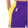 Шорти баскетбольні чоловічі Nike NBA Los Angeles Lakers Practice Shorts (AJ5077-504) Шорти баскетбольні чоловічі Nike NBA Los Angeles Lakers Practice Shorts (AJ5077-504)
