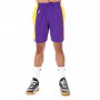 Шорти баскетбольні чоловічі Nike NBA Los Angeles Lakers Practice Shorts (AJ5077-504) Шорти баскетбольні чоловічі Nike NBA Los Angeles Lakers Practice Shorts (AJ5077-504)
