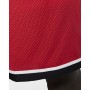 Шорти чоловічі баскетбольні Nike Dry Classic Short розмір L (AQ5600-657) Шорти чоловічі баскетбольні Nike Dry Classic Short розмір L (AQ5600-657)