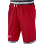 Баскетбольні шорти Nike Chicago Bulls DNA розмір L, XL (AV0130-657) Баскетбольні шорти Nike Chicago Bulls DNA розмір L, XL (AV0130-657)