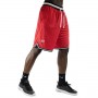 Баскетбольні шорти Nike Chicago Bulls DNA розмір L, XL (AV0130-657) Баскетбольні шорти Nike Chicago Bulls DNA розмір L, XL (AV0130-657)