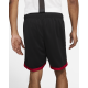 Шорти Air Jordan GFX Knit Short чоловічі баскетбольні (CZ4760-010)