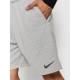 Шорти чоловічі спортивні Nike Dri-Fit Men's Shorts для спорту та на кожен день (DA5556-145)