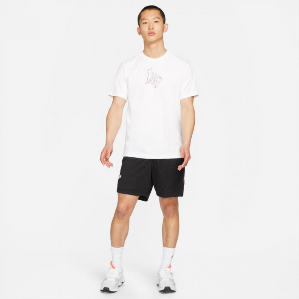 Шорти чоловічі баскетбольні Jordan AJ5 Mesh Graphic Short (DD5274-010)