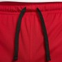Шорти чоловічі баскетбольні Jordan Sport Dri-FIT Short (DH9077-687)