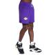 Шорти баскетбольні чоловічі Nike Los Angeles Lakers Men's Nike NBA Basketball Shorts (DN4629-504)