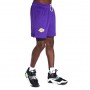 Шорти баскетбольні чоловічі Nike Los Angeles Lakers Men's Nike NBA Basketball Shorts (DN4629-504) Шорти баскетбольні чоловічі Nike Los Angeles Lakers Men's Nike NBA Basketball Shorts (DN4629-504)