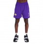 Шорти баскетбольні чоловічі Nike Los Angeles Lakers Men's Nike NBA Basketball Shorts (DN4629-504) Шорти баскетбольні чоловічі Nike Los Angeles Lakers Men's Nike NBA Basketball Shorts (DN4629-504)