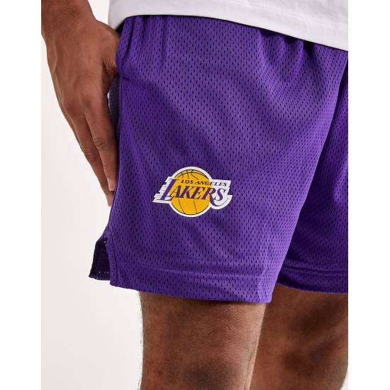 Шорти баскетбольні чоловічі Nike Los Angeles Lakers Men's Nike NBA Basketball Shorts (DN4629-504)
