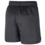 Шорти баскетбольні чоловічі Brooklyn Nets Men's Nike NBA Shorts (DN8222-060)