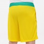 Шорти баскетбольні чоловічі Nike Dri-FIT Starting 5 Men's Basketball Shorts (DV9483-735) Шорти баскетбольні чоловічі Nike Dri-FIT Starting 5 Men's Basketball Shorts (DV9483-735)