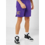 Шорти баскетбольні Los Angeles Lakers Men's Nike NBA Mesh Shorts (DX9699-504)