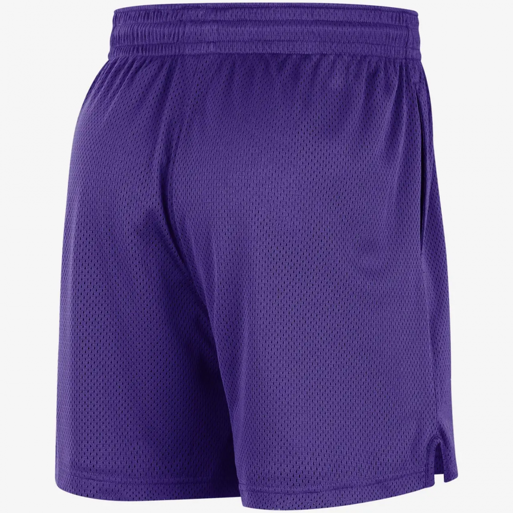 Шорти баскетбольні Los Angeles Lakers Men's Nike NBA Mesh Shorts (DX9699-504)