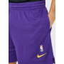 Шорти баскетбольні Los Angeles Lakers Men's Nike NBA Mesh Shorts (DX9699-504)