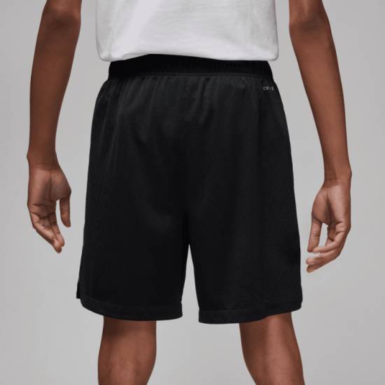 Шорти баскетбольні чоловічі Jordan Dri-FIT Sport BC Men's Mesh Shorts (DZ0569-010)