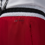 Шорти баскетбольні Jordan Dri-FIT Sport Men's Diamond Shorts (FB7580-687) Шорти баскетбольні Jordan Dri-FIT Sport Men's Diamond Shorts (FB7580-687)