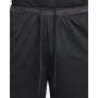 Шорти баскетбольні Nike DNA Men's Dri-FIT Basketball Shorts (FN2651-010)