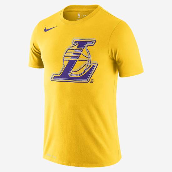 Футболка чоловіча Nike Los Angeles Lakers Logo розмір L, XL (BV8149-728)