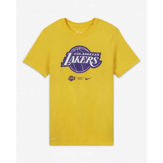 Футболка чоловіча баскетбольна Nike NBA Los Angeles Lakers Logo (CK8381-728)