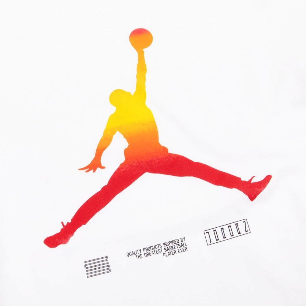 Футболка чоловіча Nike Jordan Retro 11 Legacy розмір XL (CW0850-100)