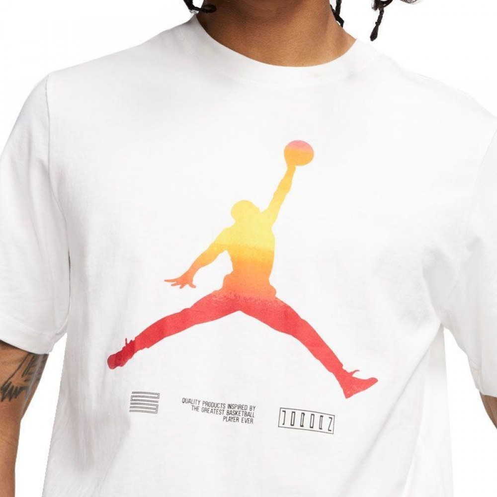 Футболка чоловіча Nike Jordan Retro 11 Legacy розмір XL (CW0850-100)